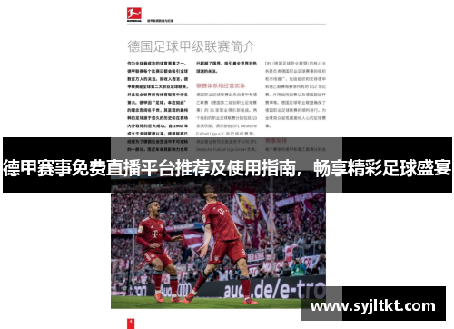德甲赛事免费直播平台推荐及使用指南，畅享精彩足球盛宴