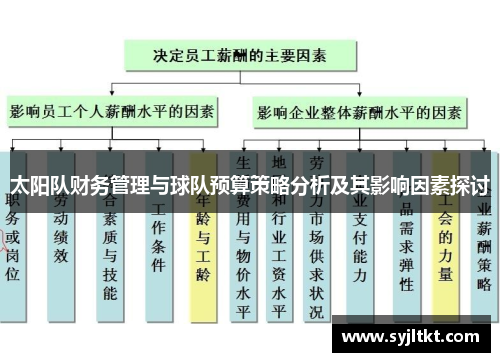 太阳队财务管理与球队预算策略分析及其影响因素探讨