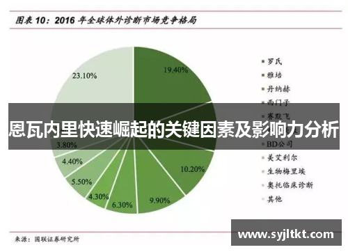 恩瓦内里快速崛起的关键因素及影响力分析