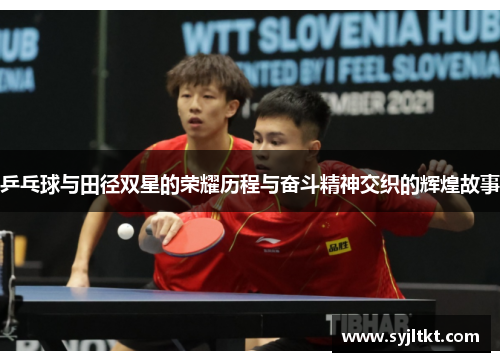 乒乓球与田径双星的荣耀历程与奋斗精神交织的辉煌故事