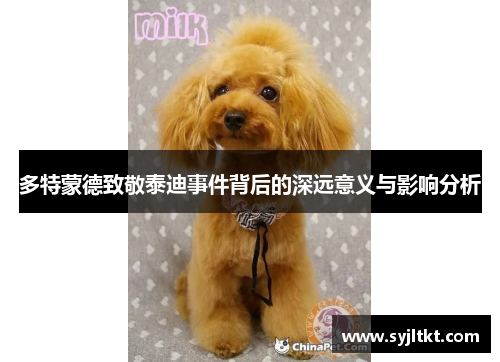 多特蒙德致敬泰迪事件背后的深远意义与影响分析
