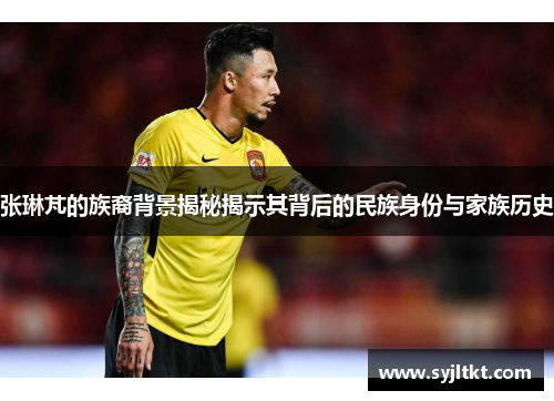 张琳芃的族裔背景揭秘揭示其背后的民族身份与家族历史